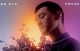 野兽派 x 胡歌丨感恩的花，暖暖的爱