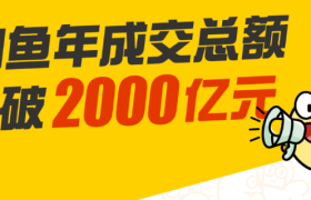 闲鱼交易额破2000亿：从“所有人有闲余”到“所有人用闲鱼”