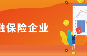 案例丨金融保险企业：敏捷智慧客户运营