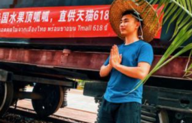 泰国上线国家店，榴莲山竹“赶火车”参与天猫618