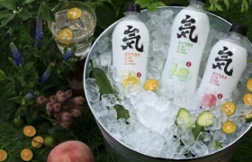 从默默无闻到成为国产饮料黑马，元气森林的「成功密码」究竟是什么？