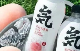 3年估值40亿！揭秘元气森林爆红背后的底层逻辑