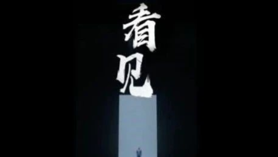 冬泳怪鸽励志演讲《看见》，好潮如评！快手版《后浪》凭什么能火爆朋友圈？