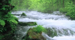 一支广告片只有纯音乐？京东深度合作《向往的生活》玩转“声音”营销