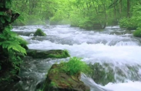 一支广告片只有纯音乐？京东深度合作《向往的生活》玩转“声音”营销