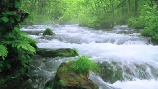 一支广告片只有纯音乐？京东深度合作《向往的生活》玩转“声音”营销