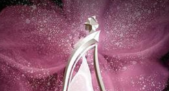 映客与亚视达成战略合作，成为6月亚洲小姐竞选线上赛区