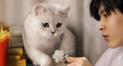 麦当劳“大薯日”重磅来袭，周边盲盒萌翻了！