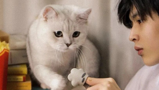 麦当劳“大薯日”重磅来袭，周边盲盒萌翻了！