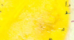 让情绪进来避个暑&nbsp; 找到自己的凉凉