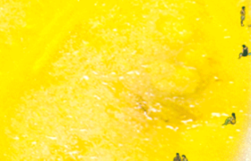 让情绪进来避个暑&nbsp; 找到自己的凉凉