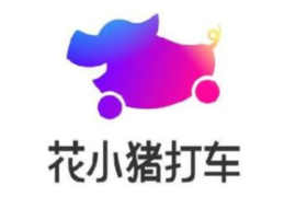 定位年轻用户市场，滴滴推新品牌花小猪打车