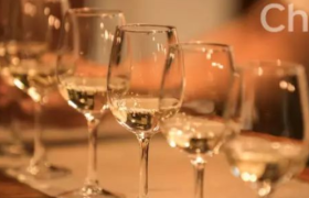 智利国家馆重磅入驻京东超市 葡萄酒全球产区联盟扩至12国