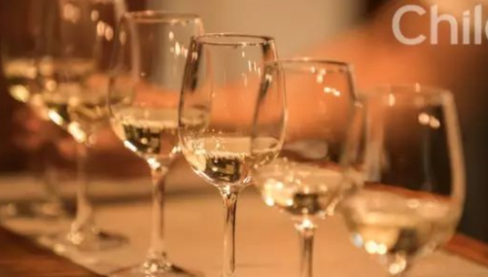 智利国家馆重磅入驻京东超市 葡萄酒全球产区联盟扩至12国