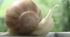 华为发布史上最轻薄笔记本，号称比A4纸还小