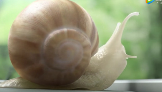 华为发布史上最轻薄笔记本，号称比A4纸还小