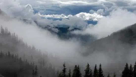 韵达财报：低价抢市场，老二不好当