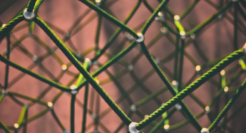 腾讯广告"去掉广告"