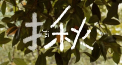 ​美的，交出了秋日营销的第一份满分答卷