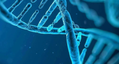 涨见识了！原来基因研究和算力还有这层关系？