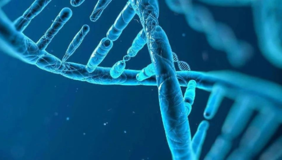 涨见识了！原来基因研究和算力还有这层关系？