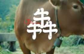 碧桂园这支广告，真犇！