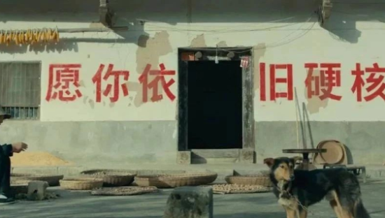 碧桂园公益广告：别怂，给生活个硬邦邦的回击！