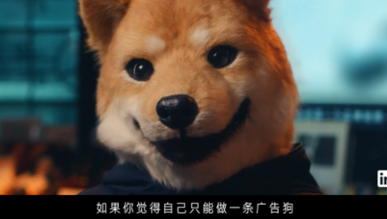 领英联合十位广告圈大佬，劝你不要做广告！