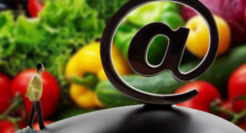 字节跳动布局社区团购　线上买菜将进入算法匹配时代