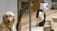 喜茶宠物友好主题店开业，场景营销“出圈”！