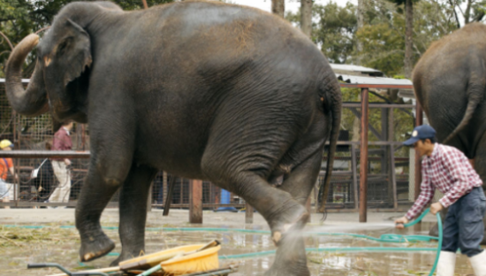 无印良品记录世界各地的清洁画面，很治愈