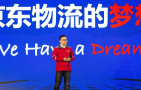 透过“蚂蚁”看京东物流