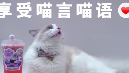 奈雪的茶推出首款「猫猫爪杯塞」