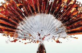 资深创作总监写给设计新人的21条干货