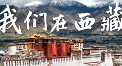 全国都在抢丁真，哪家文案更胜一筹