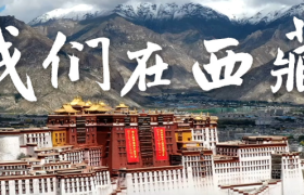 全国都在抢丁真，哪家文案更胜一筹