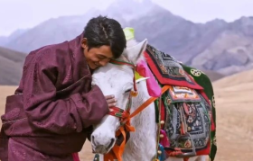 四川旅游宣传片《丁真的世界》曝光！网友：我一直以为丁真在西藏