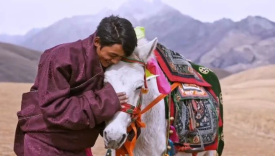 四川旅游宣传片《丁真的世界》曝光！网友：我一直以为丁真在西藏