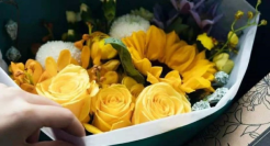 2020年又一个风口行业倒下了:曾融资10亿，如今一地鸡毛！