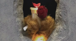 上海爆红的“熊爪咖啡”！获央视点赞，又被要求“整改”？网友：希望让这份温暖继续！