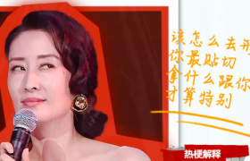 微博综艺揭晓 2020 年「十二大综艺热梗」