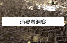 消费者洞察，到底洞察什么？