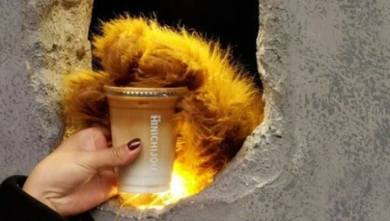 如此暖心的熊爪咖啡，活该上热搜！