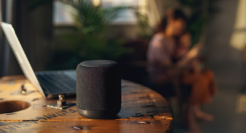 智能音箱结束寡头格局？