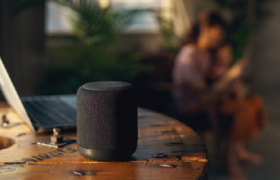 智能音箱结束寡头格局？