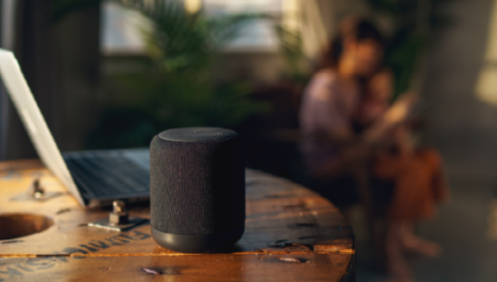 智能音箱结束寡头格局？