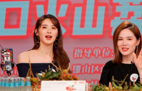 阿里、京东、拼多多的“农业战争”