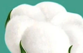 女性营销屡变品牌“坟场”，原因终于找到了！