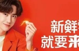 粉丝越来越难“搞”，代言人营销还能怎么玩？