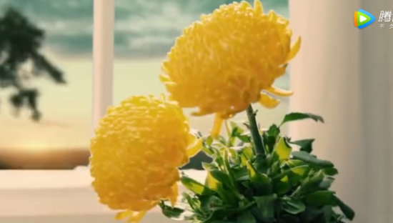 马应龙，让你的屁股笑开花